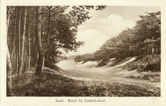 14560 Gezicht op het bos en de zandverstuiving bij de Soesterbergsestraat tussen Soest en Soestduinen.